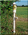 Water pump, near the Brambles, Twinstead