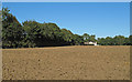 Recently tilled field near Birchleys, Pebmarsh