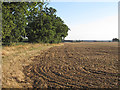 Recently tilled field, Oak Road, Halstead