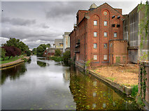 SP9066 : River Nene and Whitworth Brothers Flour Mill, Little Irchester by David Dixon