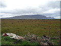 F6406 : Rough pasture viewed from the Slievemore Road by John Lucas