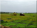 Farmland at Kinchurdie