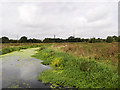 SP9067 : River Ise from Footbridge on the Nene Way by David Dixon