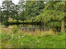 SK4563 : Hardwick Park, Row Pond by David Dixon