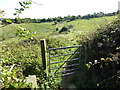 Footpath crosses enclosure in small valley to junction with bridleway