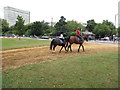 TQ2680 : Horse riders on North Ride of Hyde Park by David Hawgood