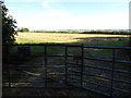 Gateway and field corner at Hoe Court