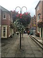 Nantwich: hanging baskets in Cocoa Yard