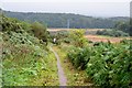 Great Glen Way approaching Inverness