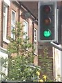 UK Green Traffic Light Signal