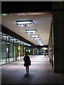 Covered walkway adjacent to South Dock