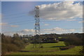 Pylon, Berkley Marsh