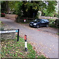 Birds Crossing, Woodchester