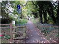 Jogging from Woodchester towards Stroud