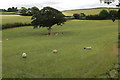 Footpath from Castle Hill brow