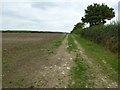 SU2295 : Farmland headland track by Philip Halling
