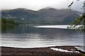 NN1886 : Loch Lochy shore at Coille-ras by Jim Barton