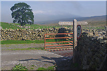 SD7880 : Cattle grid near Far Gearstones by Ian Taylor
