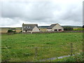 Grazing towards The Croft