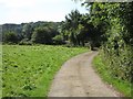 ST3503 : Footpath between Forde Abbey and Hewood by Becky Williamson