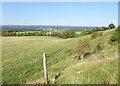 Fields at the bottom of Truleigh Hill