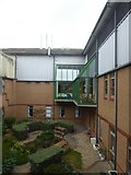 SX9391 : Garden space inside the Royal Devon and Exeter Hospital by David Smith