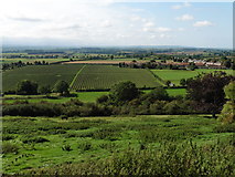 ST4716 : View to the west from Ham Hill by Roger Cornfoot