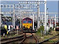 SU5290 : Electrification gantries over the railway by Steve Daniels