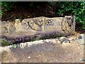 Chainsaw carving at Cawdor Castle