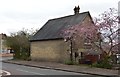 Blossom, Harvey Goodwin Avenue