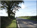 A595 towards Cockermouth 