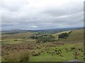 Farmed land north of Bush Down