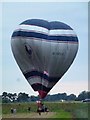 TF3801 : Hot air balloon landing near Guyhirn - Photo 2 of 4 by Richard Humphrey