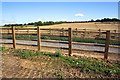 Farmland NW of Aiskew