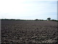 NY1449 : Field near The Gale by JThomas