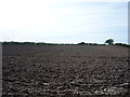 Field near The Gale