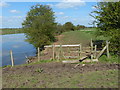 Fence and stile along the east bank of the River Trent