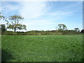 NY1350 : Farmland north of Highlaws by JThomas
