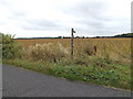 Footpath to Messing Lodge