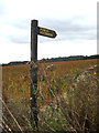 Footpath sign off Easthorpe Road