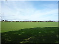 Grassland, Wolsty Hall