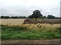 SE5704 : Ploughing at Bentley Ings by Jonathan Clitheroe