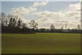 Farmland, Bottle Farm