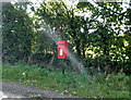 Elizabeth II postbox, West Woodside