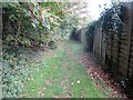 Footpath to Ilex Way