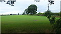 West Staffordshire farmland