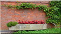 Concrete trough and brick wall at Blore