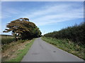 Minor road towards Holme St Cuthbert 