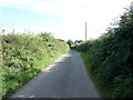 Lane, Holme St Cuthbert