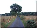 Lone Barn Road, Woodside Green